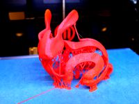 Bunny Peel with meshmixer Support by meshmixer
