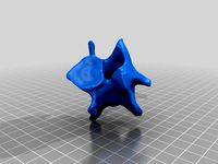 Neck Vertebra by JulPal