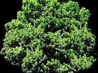 my 1st test by lnickers