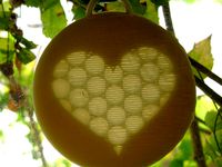 Hidden Heart Pendant by pmoews