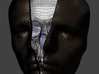 john_print face split skull  by XXRDESIGNS