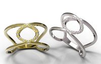 Ring 73 3D Model