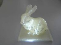 Bunny on a Plate by Markconx