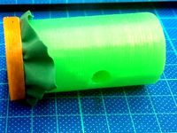 A Toy Horn for my 4 yrs old Daughter and 3 yrs old Son. by RichardJean