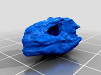 Allosaurus Skull by Pink_Iguanas