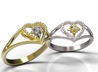 Ring 76 3D Model