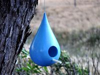 Raindrop "Birdhouse" by Scintilla
