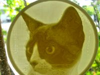 Cat Lithopane Pendant by pmoews