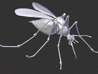 Mosquito by Scintilla