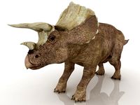Dinosaur 3D Model