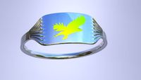 Ring 3D Model
