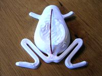 Topwater Frog - Fishing Lure by scorch