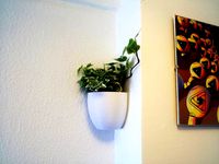 Little Planter by macouno
