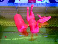 Plated Okapi by PrettySmallThings