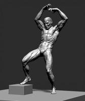 Dynamic Figure 3D Model
