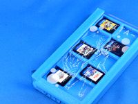 PSVita Cartridge Case by spartacat300