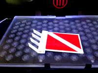 Dive Flag Antenna Flyer by BartW