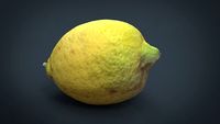 Lemon 3D Model