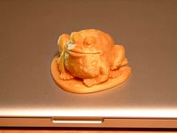 Garden Toad on a Lily Pad by halley