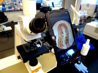 Universal Camera Phone/Microscope Adapter by ggoss