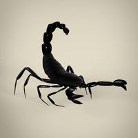Scorpio