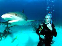 gopro monopod mount for diving by big_red_frog