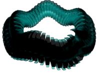 a moving bracelet by Joey_McCrossan