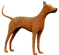 Low Poly Dog