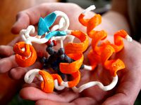 Cytochrome C (Human) (PDB 1J3S) by MoleculeMaker