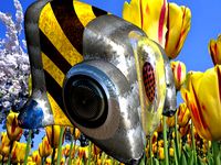 Bee-Bot by DaveHardcastle