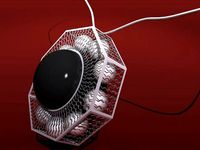 Black Pearl Oriental Necklace by Paulwin