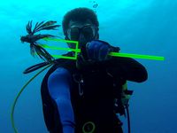 Customizable Spear for LIONFISH Fishing / Hunting by bustmold