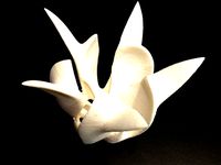 Egg flower by chrisniederer