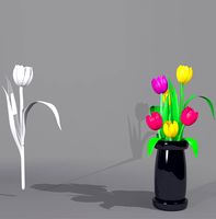Tulip Flower Package