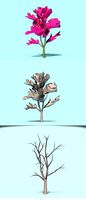 Beautiful Low Poly Tree 02