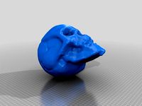 Skull Scan by BoilerPlateDan