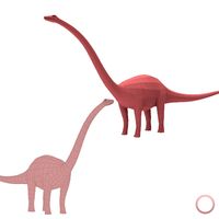 Diplodocus Base Mesh