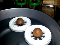 3d Print - Avocado Pit Germination Holder - Floating Edition by sa7ina