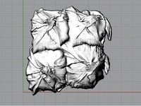 Texture model of pineapple by ondaislash