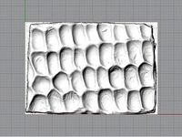 Texture model of corn by ondaislash