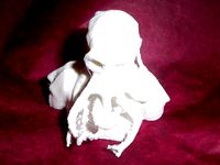 The Mask Of Cthulhu by doommeister