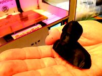 Walter's Head by lili_czarina