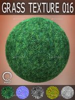 Grass Textures 016