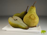 Pears 3D Model