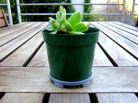 Parametric Pot Stand by buckyball