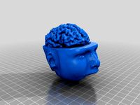 Brain and head by tiemejanssen