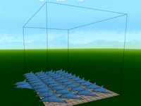 42 Dolphins by dimatosj