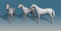 Lowpoly Horse Base Mesh