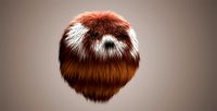 Red Panda Fur