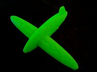 Awesome glider by TigerBot12